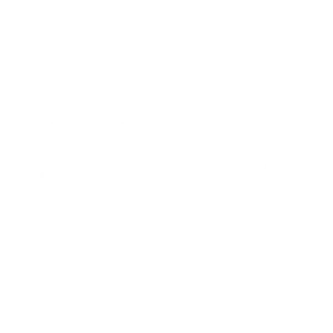 solo-group-logo